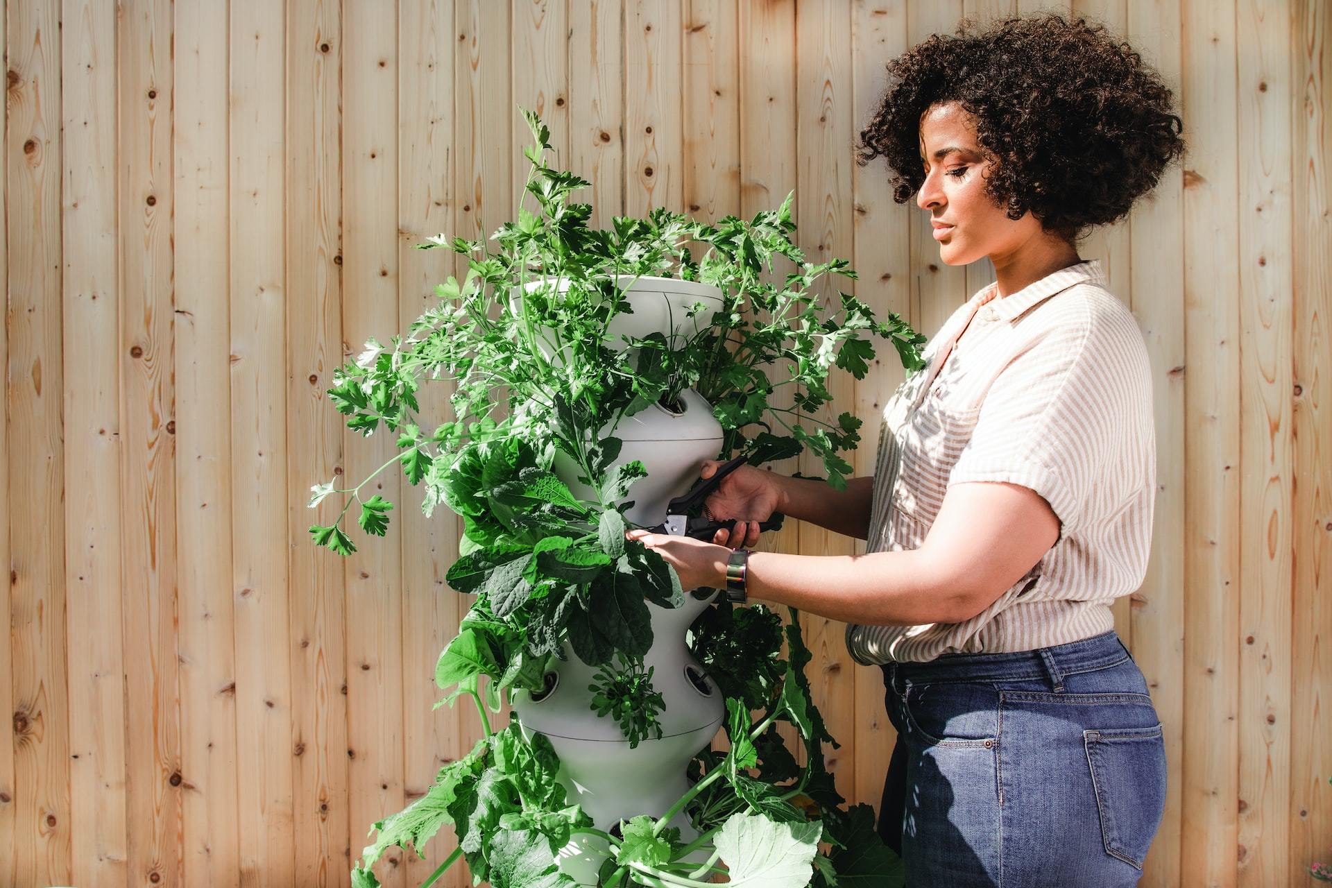 A woman holding a long plant in a pot.